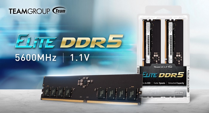 TEAMGROUP ELITE U-DIMM DDR5 Standard Memories